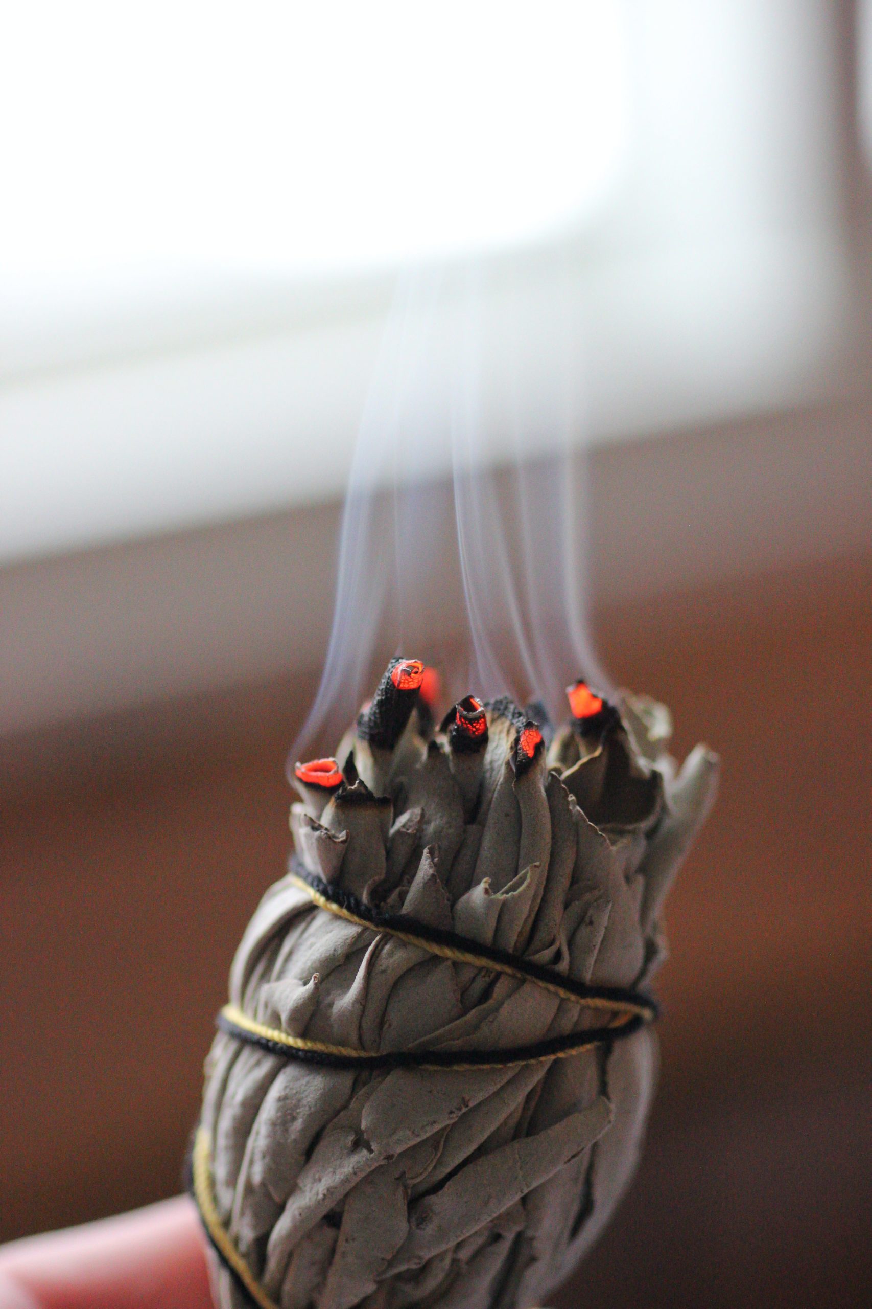 Did you know that burning sage comes with a long list of physical and spiritual benefits?